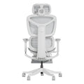 S9 Standard Ergonomic Office Chair with One-Touch Adjustment