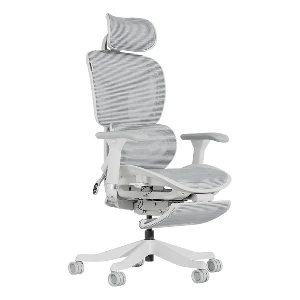 S9 Standard Ergonomic Office Chair with One-Touch Adjustment