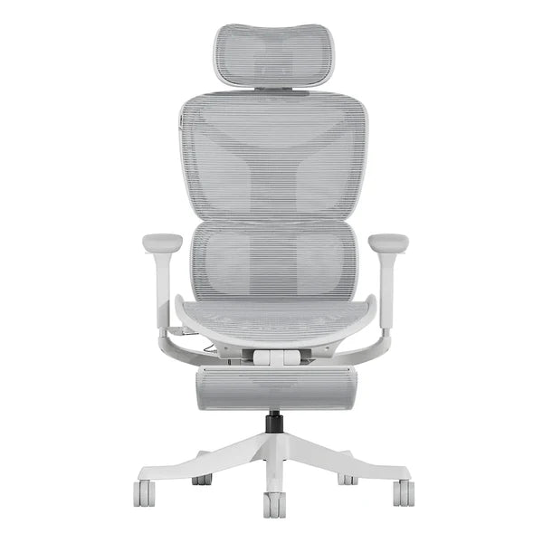 S9 Standard Ergonomic Office Chair with One-Touch Adjustment