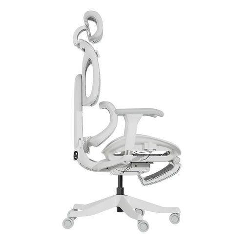 S9 Standard Ergonomic Office Chair with One-Touch Adjustment